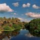 Pantanal paraguayo. Gentileza