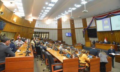 Sesión de la Cámara de Diputados. Foto: Gentileza.
