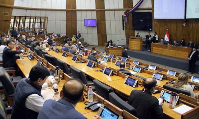 Sesión de la Cámara de Diputados. Foto: Gentileza.