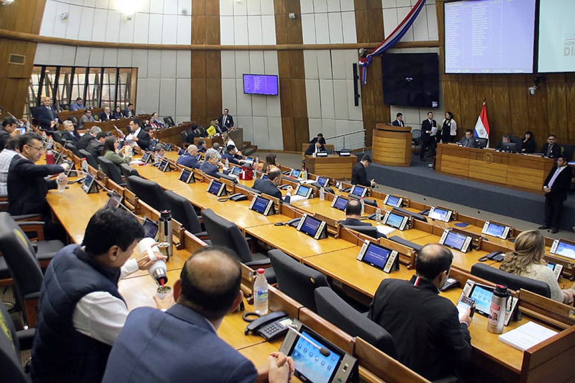 Sesión de la Cámara de Diputados. Foto: Gentileza.