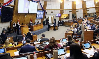 Sesión de la Cámara de Diputados. Foto: Gentileza.