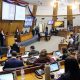 Sesión de la Cámara de Diputados. Foto: Gentileza.