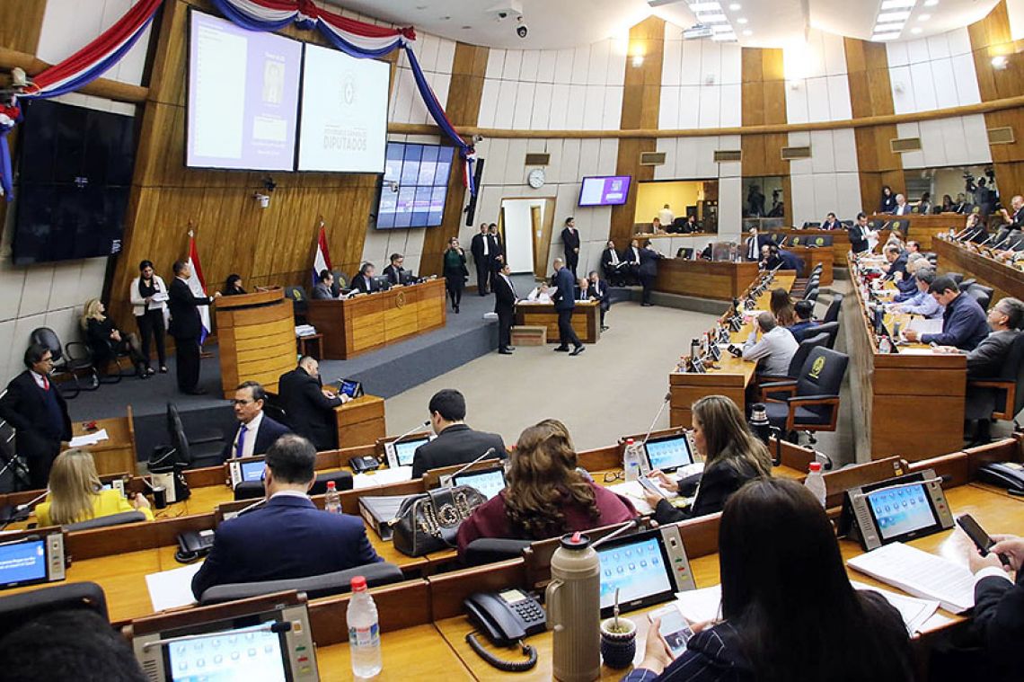 Sesión de la Cámara de Diputados. Foto: Gentileza.