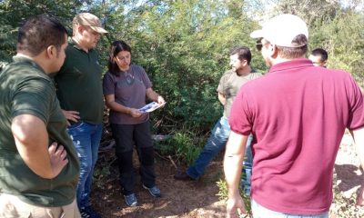 Expertos desarrollarán producción sustentable en el Chaco paraguayo. Foto: Gentileza.