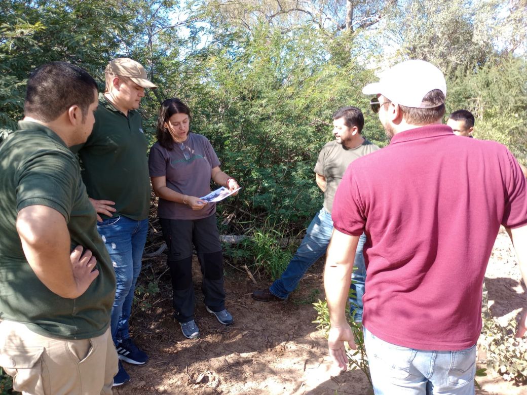 Expertos desarrollarán producción sustentable en el Chaco paraguayo. Foto: Gentileza.