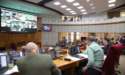 Sesión de la Cámara de Senadores. Foto: Gentileza.