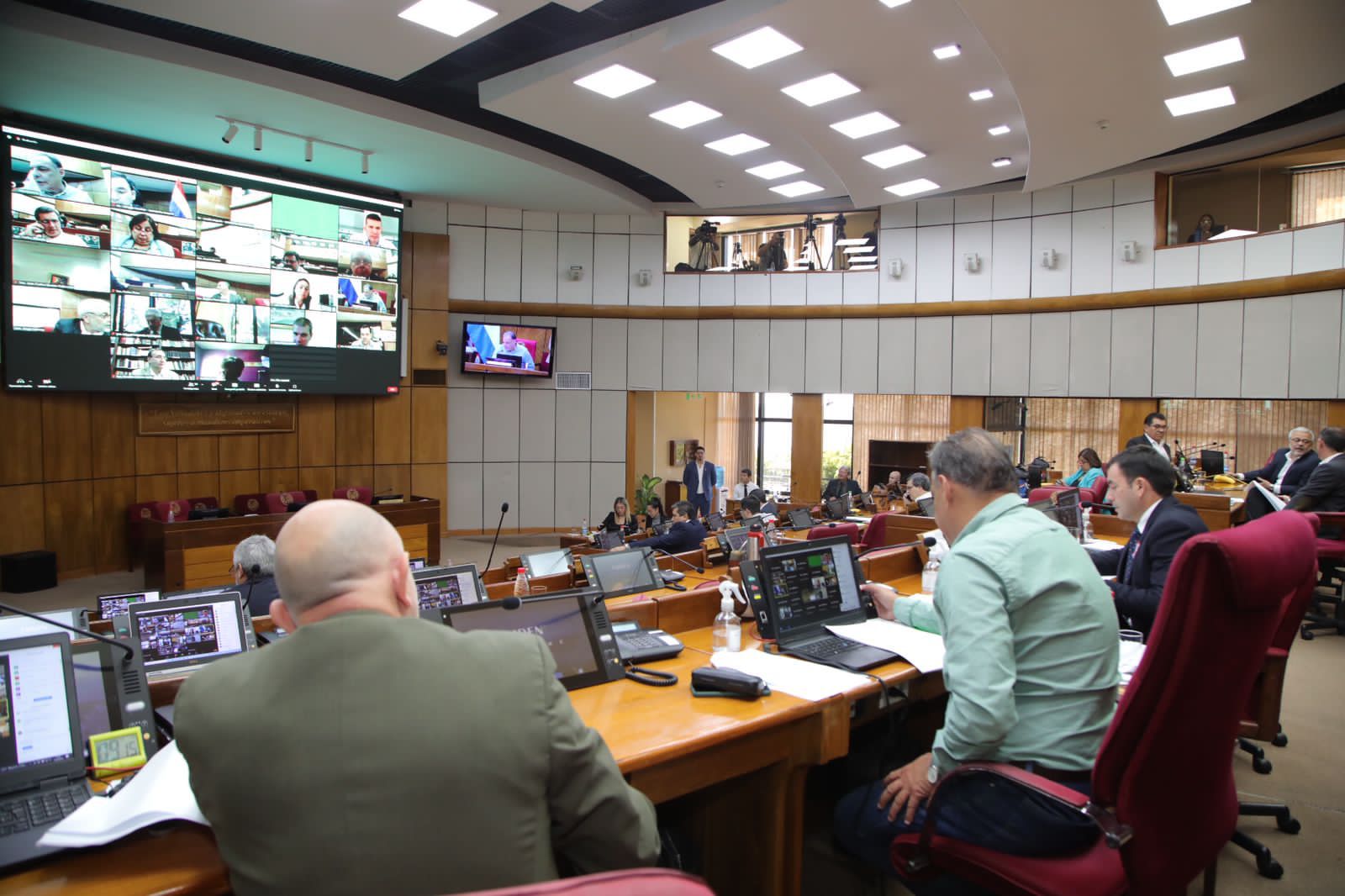 Sesión de la Cámara de Senadores. Foto: Gentileza.