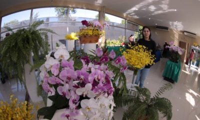 El evento se realiza en el Centro de Exposición y Venta de Orquídeas ubicado en el km 11 de la Ruta PY02 Mariscal Estigarribia. Foto: IP.