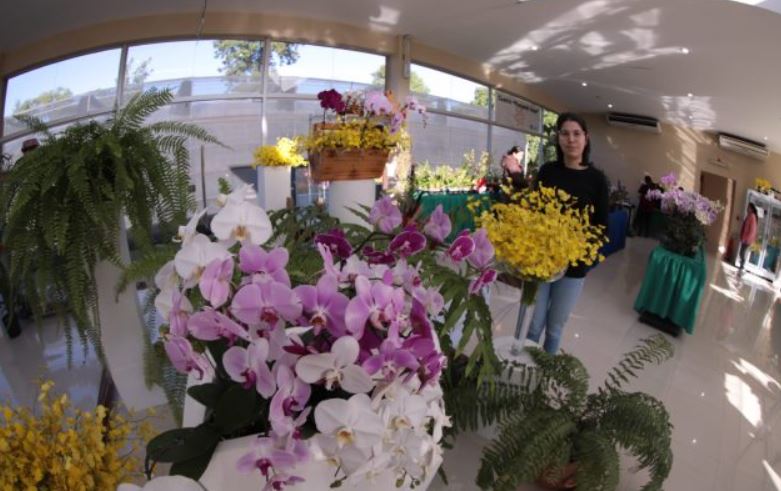 El evento se realiza en el Centro de Exposición y Venta de Orquídeas ubicado en el km 11 de la Ruta PY02 Mariscal Estigarribia. Foto: IP.