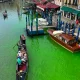 Aguas verde fluorescente en el Gran Canal de Venecia. Foto: CNN.