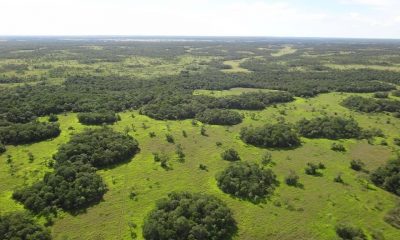 Parque Nacional Paso Bravo. Foto: Gentileza.