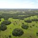 Parque Nacional Paso Bravo. Foto: Gentileza.