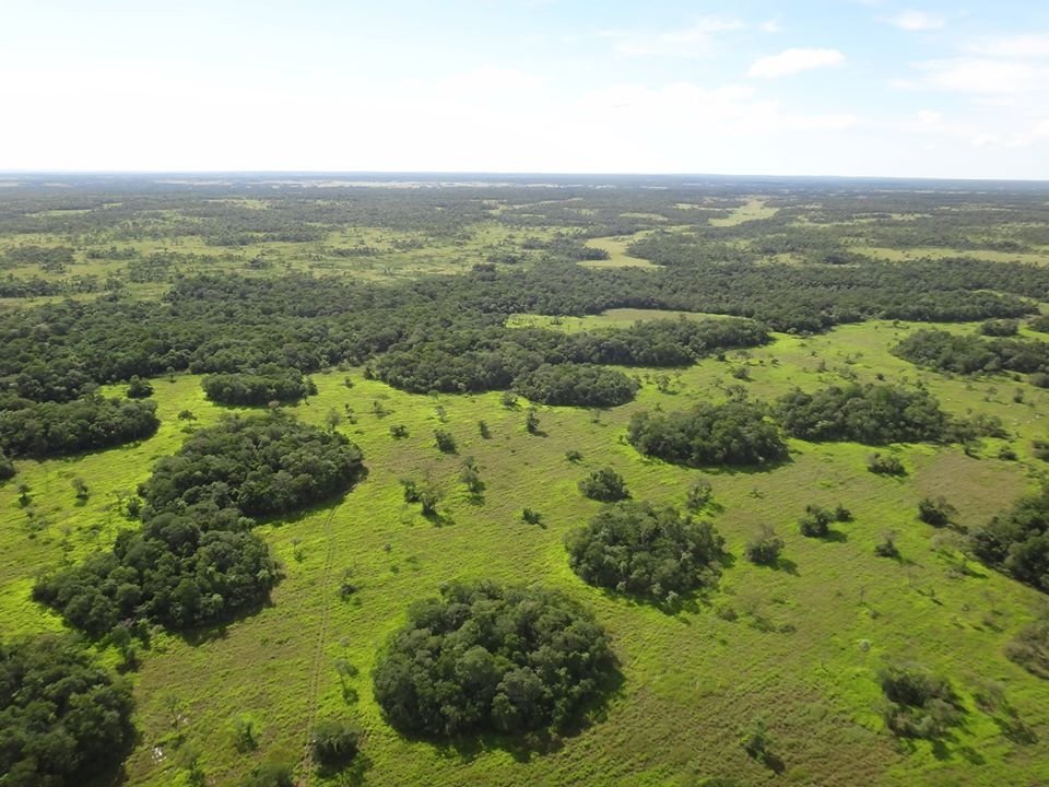 Parque Nacional Paso Bravo. Foto: Gentileza.