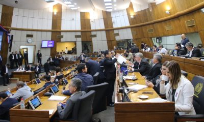 Sesión de diputados. Foto: Gentileza.