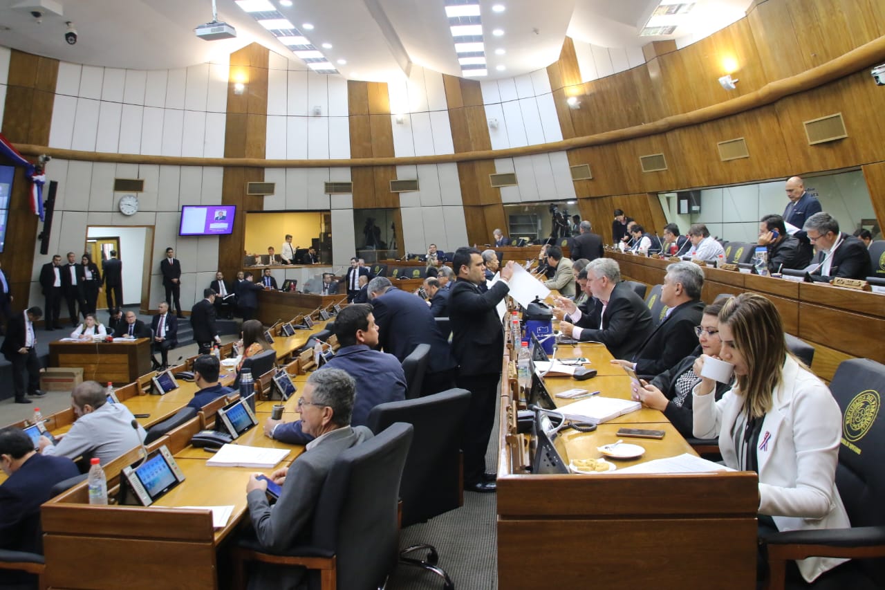 Sesión de diputados. Foto: Gentileza.