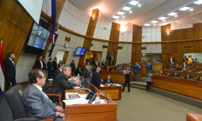 Sesión de la Cámara de Diputados. Foto Gentileza