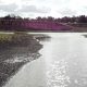 El principal embalse para el abastecimiento de agua potable de Montevideo se encuentra en estado crítico debido a una prolongada sequía. (Archivo 02.06.2023) DW.