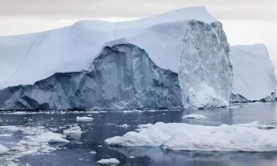 Terranova está rodeada de más de 40.000 icebergs. Foto: DW.