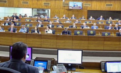 Realizaron audiencia pública en la Cámara de Diputados. Foto: Gentileza.