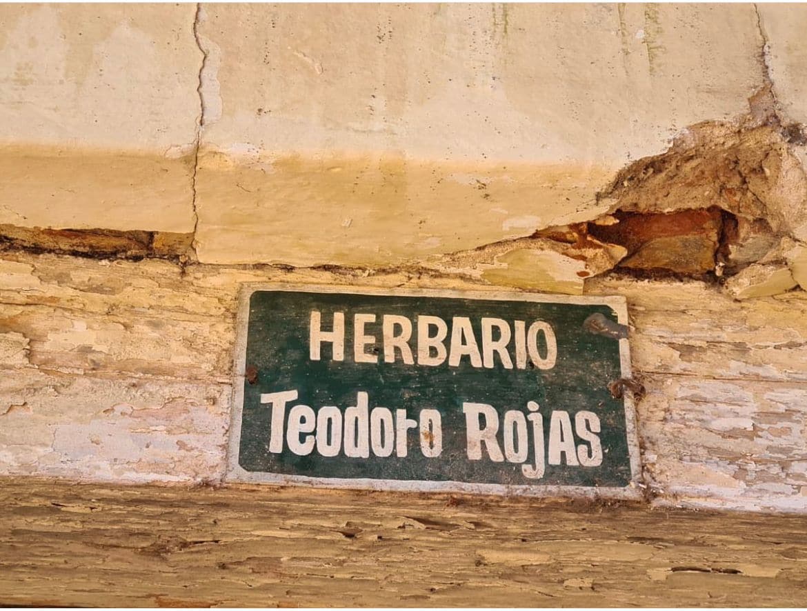Herbario "Teodoro Rojas" en completo abandono © Javier Yubi