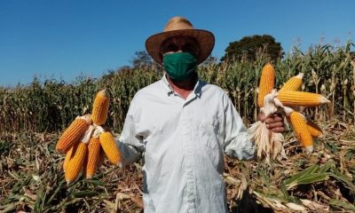 Productor con su cosecha de maíz. Foto: Gentileza.