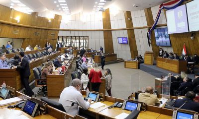 Sesión de la Cámara de Diputados. Foto: Gentileza.