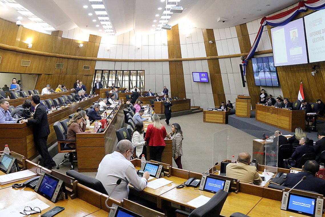 Sesión de la Cámara de Diputados. Foto: Gentileza.