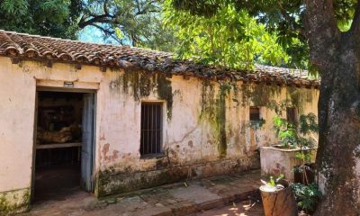 Herbario Histórico Teodoro Rojas en la desidia y el abandono. Foto: Gentileza