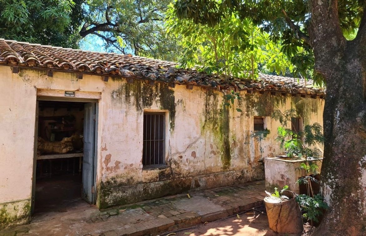 Herbario Histórico Teodoro Rojas en la desidia y el abandono. Foto: Gentileza