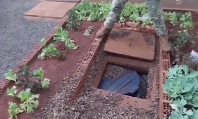 Senad incautó gran cantidad de drogas bajo la huerta. Foto: Captura.