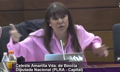 La senadora electa Celeste Amarilla para el siguiente periodo. Foto: Captura de pantalla.