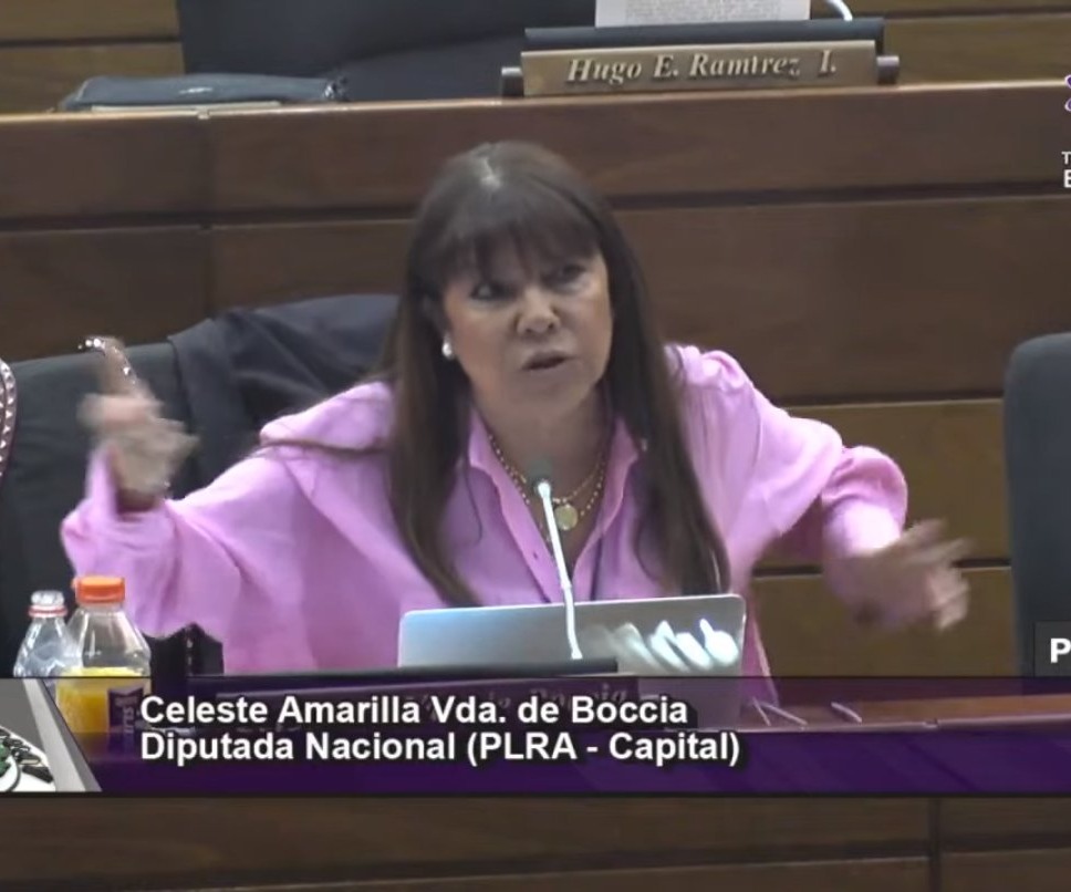 La senadora electa Celeste Amarilla para el siguiente periodo. Foto: Captura de pantalla.