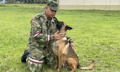 El Ejército de Colombia informó que, tras el rescate de los niños extraviados durante 40 años, buscan al perro clave en esa misión. Foto: @Col_Ejercito