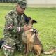 El Ejército de Colombia informó que, tras el rescate de los niños extraviados durante 40 años, buscan al perro clave en esa misión. Foto: @Col_Ejercito