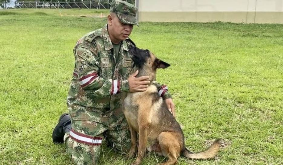 El Ejército de Colombia informó que, tras el rescate de los niños extraviados durante 40 años, buscan al perro clave en esa misión. Foto: @Col_Ejercito