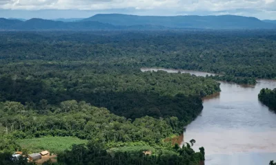 Imágenes compartidas por autoridades militares muestran los daños, en algunos casos irreversibles, en zonas boscosas y ríos prácticamente arrasados por la minería ilegal. Foto: DW.