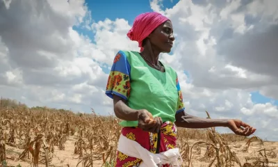 Agricultora africana Zawadi Msafiri en su cultivo perdido por la sequía.