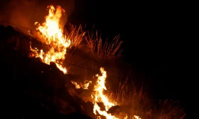 El fuego devora una ladera en Sicilia. Foto: DW.