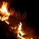 El fuego devora una ladera en Sicilia. Foto: DW.