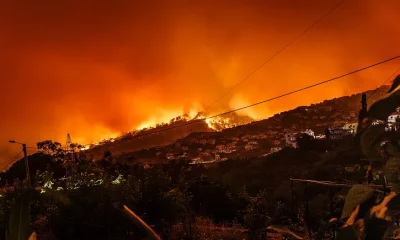 Incendio forestal en Sicilia. Foto: Euronews