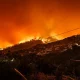 Incendio forestal en Sicilia. Foto: Euronews