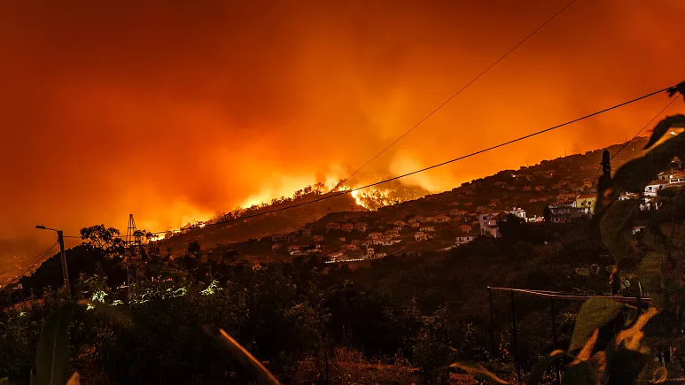 Incendio forestal en Sicilia. Foto: Euronews