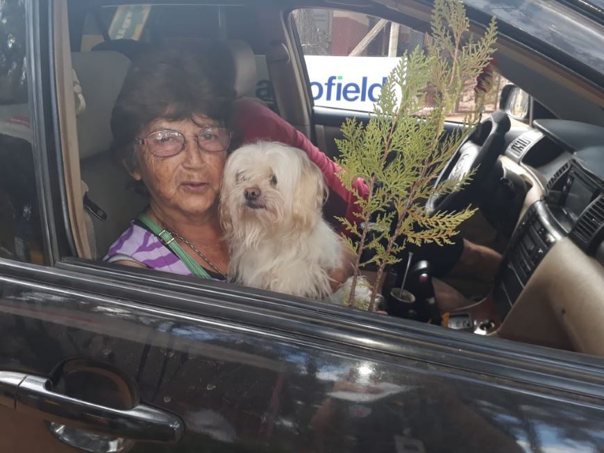 Mascotas accedieron a vacunación en el AutoCan. Foto: MSP BS.