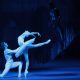 "El lago de los cisnes". Ballet de San Petersburgo. Cortesía