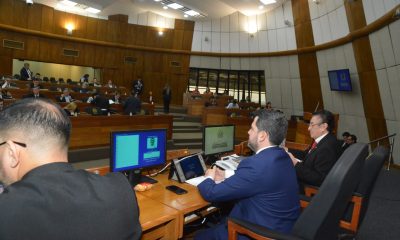 Sesión de la Cámara de Diputados. Foto: Gentileza.