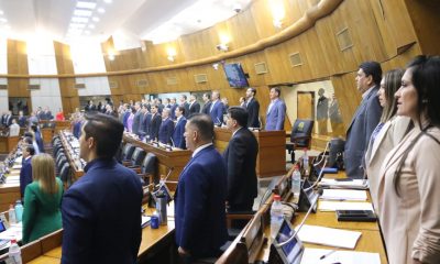 Cámara de Diputados. Foto: Gentileza.