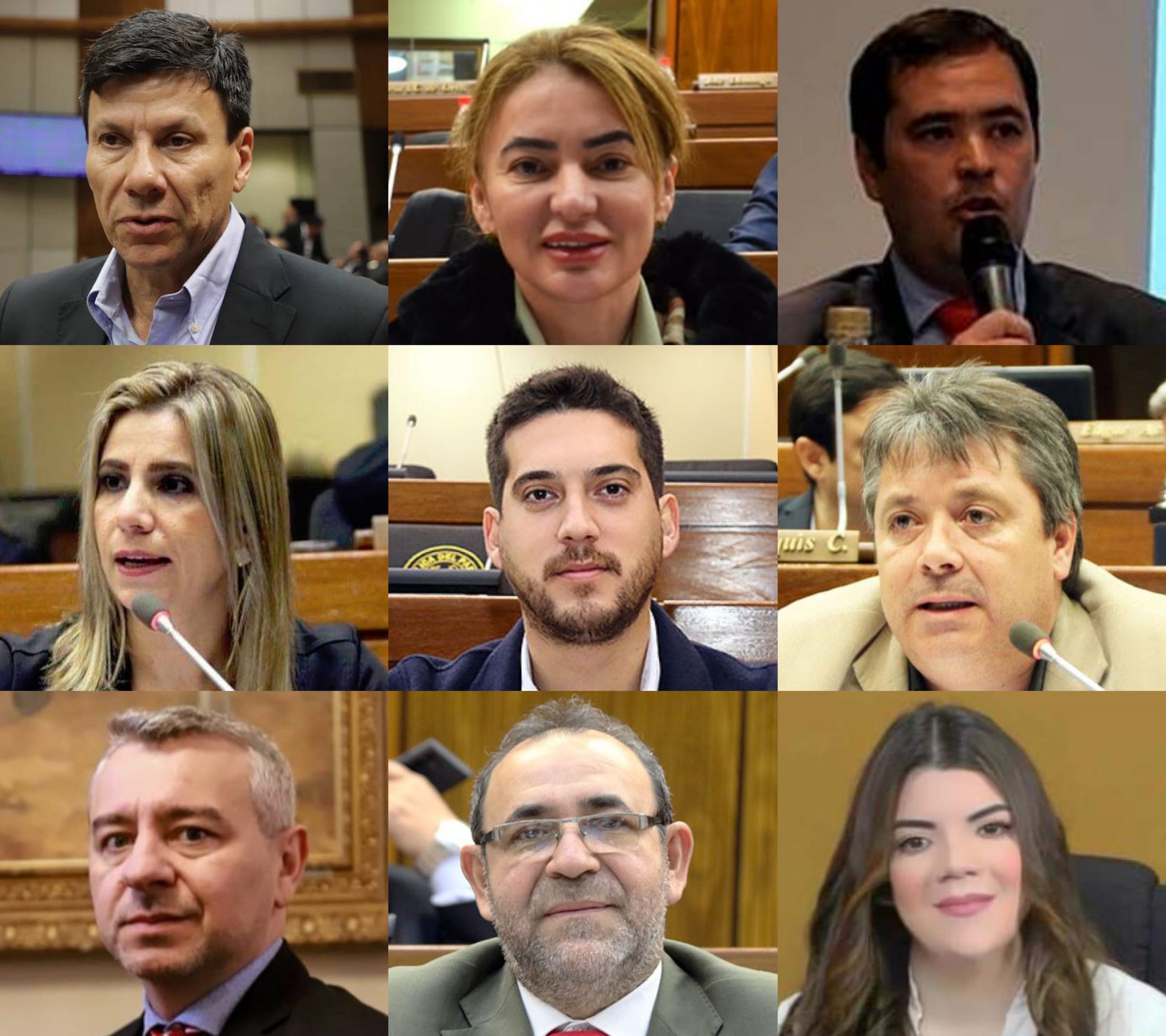 La lista de titulares es como sigue: Walter Harms (ANR-Itapúa); Virina Villanueva (ANR-Concepción); Rodrigo Gamarra (ANR-Central); Carlos María López (PLRA-Cordillera); Rubén Rubín (PH-Central); Daniel Centurión (ANR-Capital); César Cerini (ANR-Itapúa); Hugo Mesa (ANR-Cordillera) y Pastor Vera (PLRA-San Pedro). Foto: El Nacional.