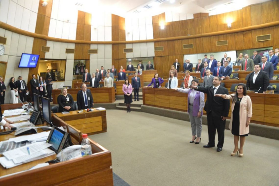 Posteriormente fueron electos tres diputados sustitutos; José Rodríguez (ANR-Capital); Bettina Aguilera (ANR-Alto Paraná) y Del Pilar Vázquez (PLRA-Itapúa). Foto: Gentileza.