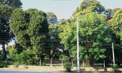 Este paisaje verde muy pronto desaparecerá. Foto: Arquitectos Py.