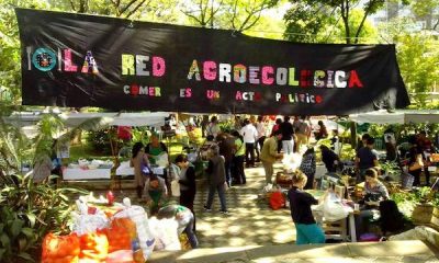 Feria de la Red Agroecológica. Foto: gentileza.